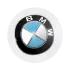 Stake Chain Hub - BMW stock